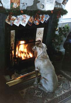 xmas kes