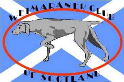 Weimaraner Club of Scotland